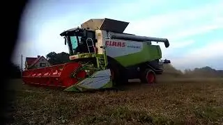 Žatva soja CLAAS LEXION 600 CLAAS TUCANO 450  NEW HOLLAND CASE IH CVX ZTS