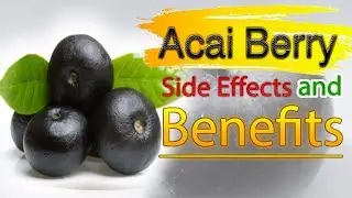 Acai berry   Health Benefits and Side Effects