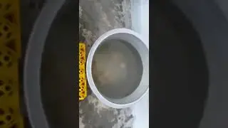 Hatching Egg Specific Gravity