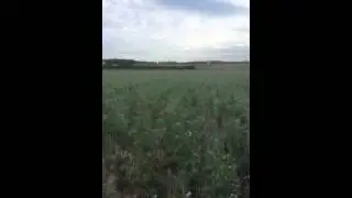 Chasse au vol 2