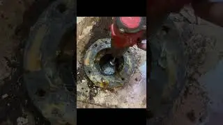 Removing a toilet flange on rotted subfloor. #plumbing