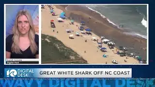Great white shark pings off coast of Outer Banks