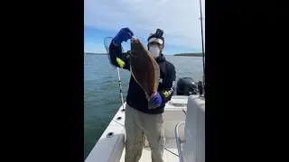 Springtime Fluke and Porgy Fishing - First 2020 Fluke Keeper!