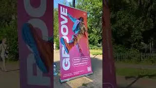 Показательные выступления команды студии GROOVE