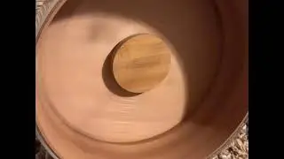 Niteangel wood/acrylic wheel review 🍯🐹