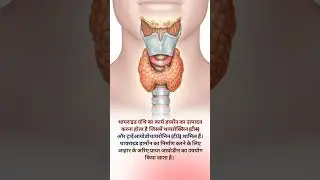 थायरॉइड ग्रंथि कार्य//thyroid gland function #@humanbody777 #shorts #thyroidgland