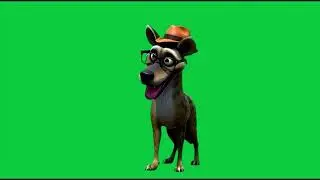 La hy&egrave;ne avec un chapeau et des lunettes 4k Green Screen