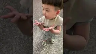 諾諾的合集😋@Yennefer的慢活主義