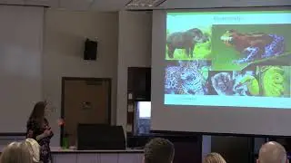 Relationships between Female Howler Monkeys (Alouatta palliata) with & without Infants in Costa Rica