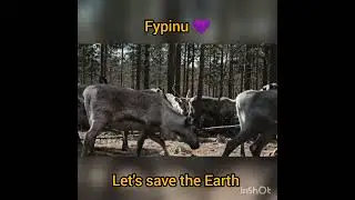 plant trees and restore our ecosystem #sprout #fypinu #earnonline #plantatree #sustainable .