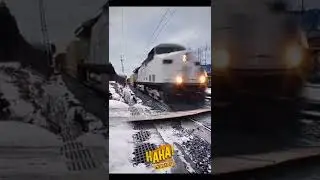 OMG you seen that 😮#shorts#ytshort#funny#funnyshorts#funnyvideo#funnyvideos#funnymoments#haha#smart#