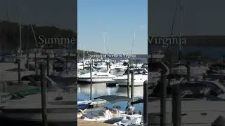 Why Summer in Northern Virginia Is Totally Underrated