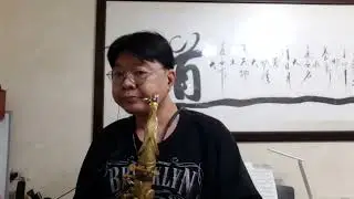 薩克斯風演奏 姑娘十八一朵花