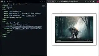 video audio tag in HTML CSS Tutorial