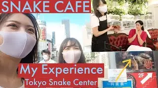 Snake Cafe | Tokyo Snake Center | Animal Cafe&rsquo;s Japan | Tokyo Tour