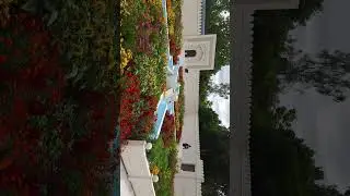 Indian char bagh garden at hamilton garden, New Zealand, #shorts