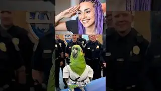 Karate Parrot Master! 🦜🥋
