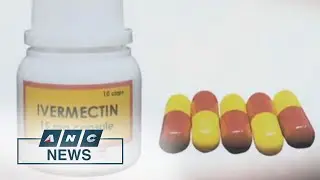 'Buyers beware': PH pharmaceutical expert cautions against Ivermectin use vs COVID-19 | ANC