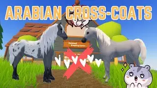 BREEDING ARABIAN CROSS-COATS WENT WELL! | Wild Horse Islands