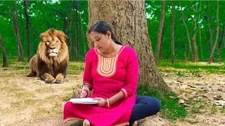 Lion Attack Village Girl | Lion Attack Jungle | Lion Attack Stories