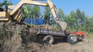 Excavator excavation report part 4
