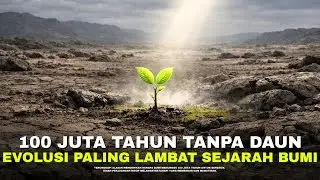 Saat Daun Pertama Kali Muncul Di Daratan, Bumi Berubah Selamanya!! | #alamaya
