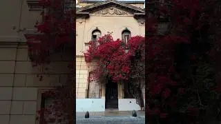 САМЫЙ КРАСИВЫЙ РАЙОН БУЭНОС АЙРЕСА С БОГАТОЙ ИСТОРИЕЙ. САН ТЕЛЬМО. #argentina #buenosaires