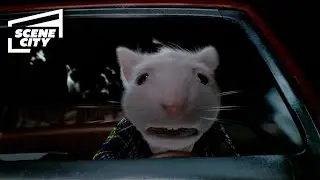 Stuart Is Chased by Cats | Stuart Little (Michael J. Fox, Chazz Palminteri)