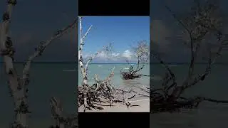Amazing beach in Cuba 🇨🇺 2026