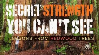 SECRET STRENGTH YOU CAN'T SEE