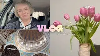 Vlog / 03.26. / Подстриглась / Готовлю Stampot и не только / Поездка в Oudenbosch / ❤️❤️❤️