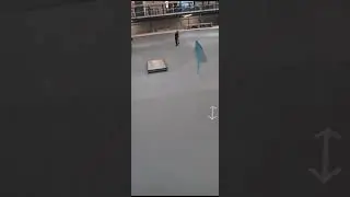 ￼I learnt to jump up the box at graystone action sports #scooter #scootering #bunnyhop #skatepark