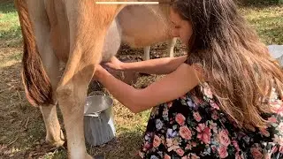 How to Milk a Cow | Our Daily Routine | Fun and Easy!
