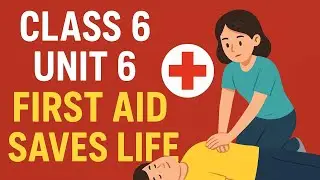 Class 6 English Unit 6 | First Aid Saves Life | English to Urdu Translation | Irzam English Zone
