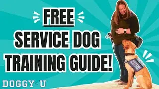 Complete Guide to Training Your Own Service Dog!