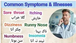 Spoken English sentences for beginners with Urdu translation l English sentences for daily usel