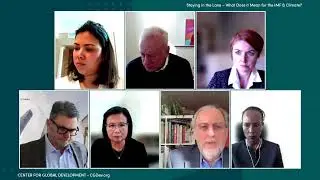 Staying in the Lane - What Does it Mean for the IMF & Climate?