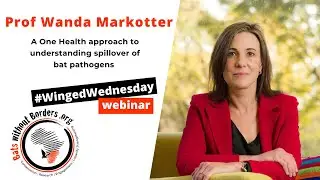 50 - #WingedWednesday webinar