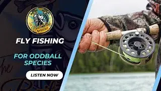 The Art of Fly Fishing: Exploring Unique Native Fish Species