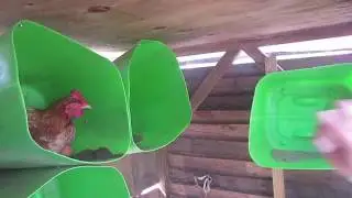 The Food Cycle at the Island School