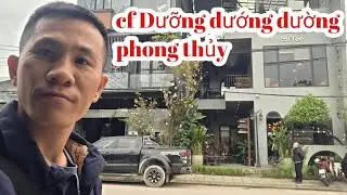 review c&agrave; ph&ecirc; dưỡng dướng dường phong thủy c&oacute; ngon, đẹp như lời đồn || Dưỡng dướng dường phong thủy