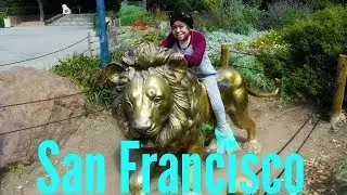 VISITING SAN FRANCISCO ZOO