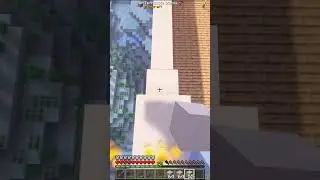 &iquest;Pollito tiene clan? owo  #diosesmc #minecraft #minecraftjava #minecraftgirl #reinopollito