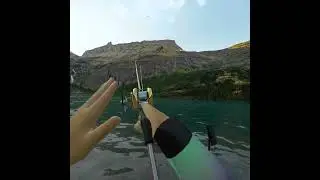 Tiny fish in real vr fishing