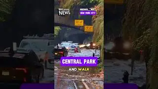 Severe flooding swept across New York City, Central Park #nyc #newyork #centralpark #weatherupdate