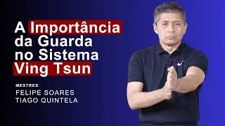 Uma Análise Completa Sobre a Guarda do Sistema Ving Tsun