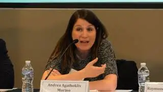 FTC Hearing: Nascent Competition: Investigation and Litigation Considerations- Oct. 17, 2018