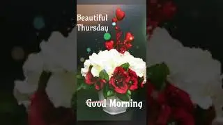 Good Morning #goodmorning #thursday #goodmorningpost #morningblessings #viral #blessings #morning