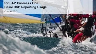 Remote Support Platform 3.0 for SAP Business One -- Basic Reporting