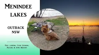 Our Dog-Friendly Caravan Escape to Menindee Lakes -  Free Campsites, Burke & Wills & Campfire Nights